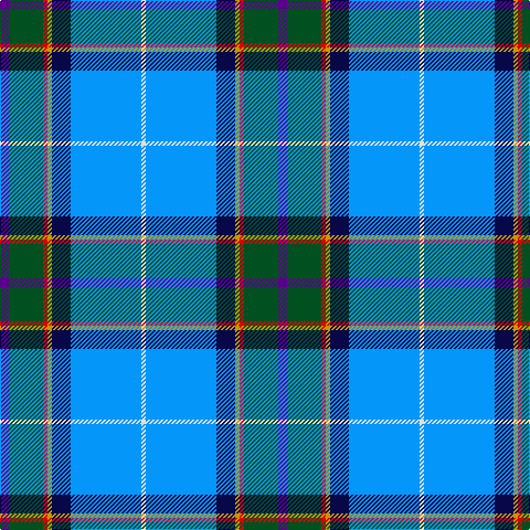 P/8 G31 R4 DY4 DB17 B64 LN/4 tartan Tartan detail