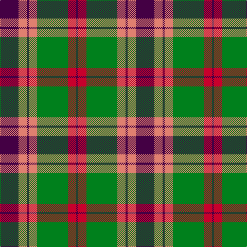DP/36 LR16 DP4 LR16 G60 Ra16 DP/4 tartan Tartan detail