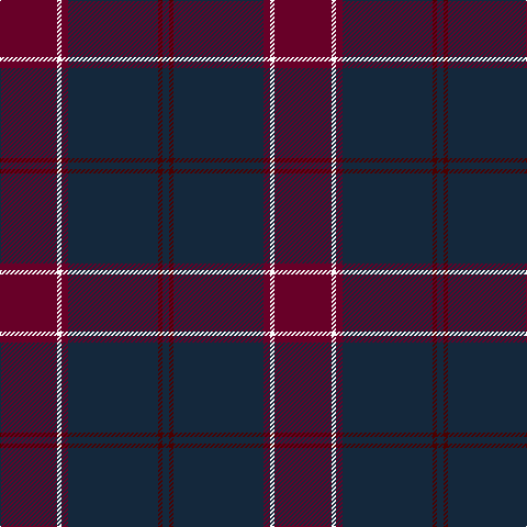 DRa/52 W4 DRa6 DN30 DN52 DR4 DN/6 tartan Tartan detail