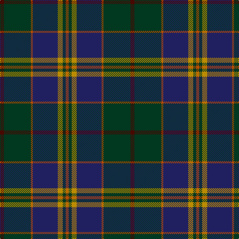 DO/6 DG6 DY10 DB50 DO4 DG54 DR/8 tartan Tartan detail