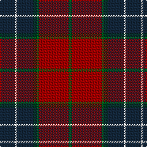 DN/24 W4 DN26 DG6 G4 DR48 G/6 tartan Tartan detail
