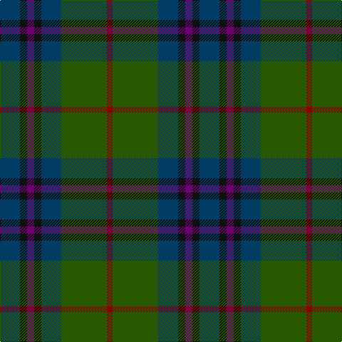 DBa/28 K10 P10 K10 DBa28 Ga64 DR/8 tartan Tartan detail