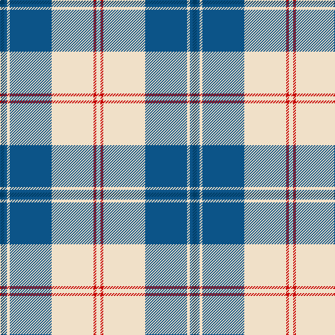 DB/6 B4 W4 B60 W60 R4 W/6 tartan Tartan detail