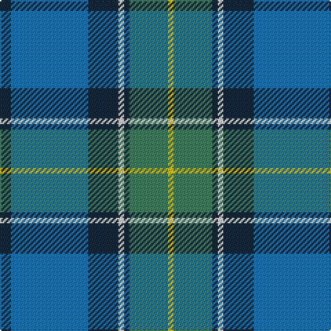 DN/8 B56 DN22 LN4 DN4 G28 Y/4 tartan Tartan detail