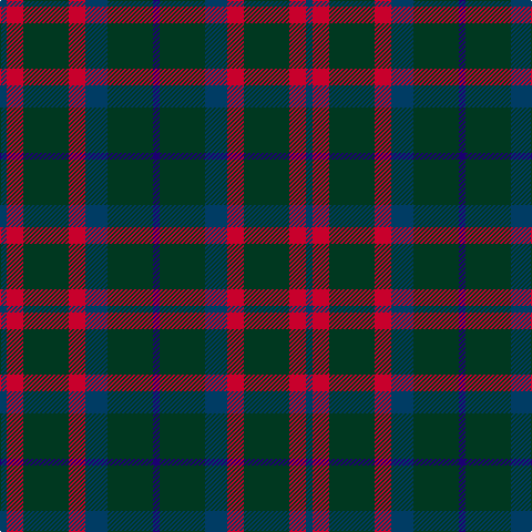 DB/6 R15 DG41 R15 DB20 DG41 DBa/6 tartan Tartan detail
