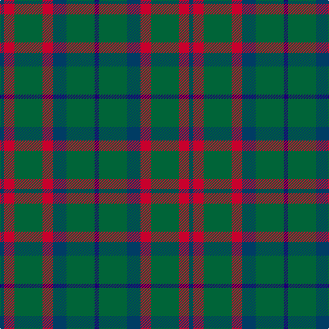DB/6 R15 G41 R15 DB20 G41 DBa/6 tartan Tartan detail