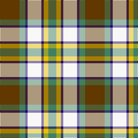 T/68 Ga20 DB8 Wa48 DB8 Y16 Ga/28 tartan Tartan detail