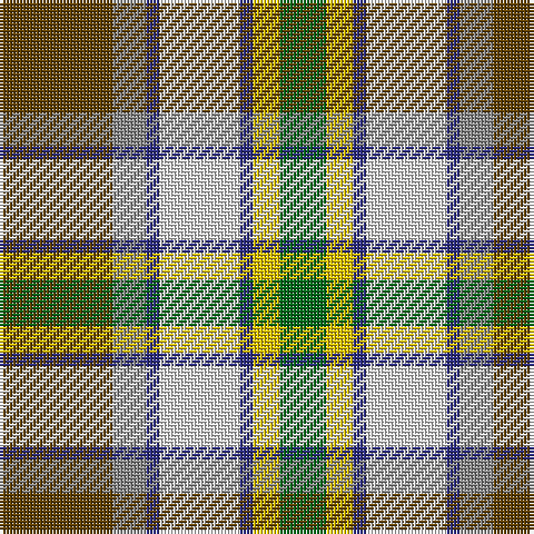 T/34 N10 DB4 LN24 DB4 Y8 G/14 tartan Tartan detail