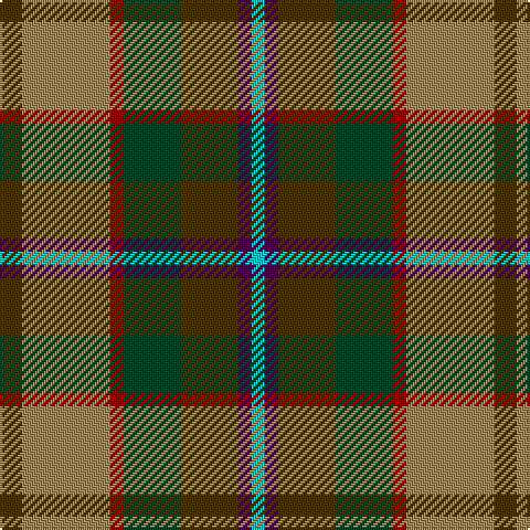T/10 LT40 DR6 DG26 T26 DP6 LB/6 tartan Tartan detail