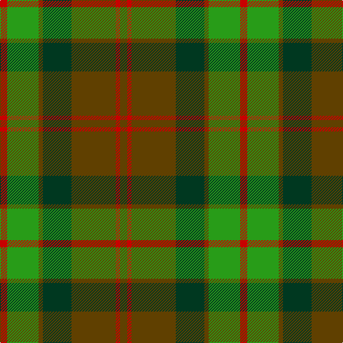 R/10 G44 T6 DG40 T62 R6 T/10 tartan Tartan detail