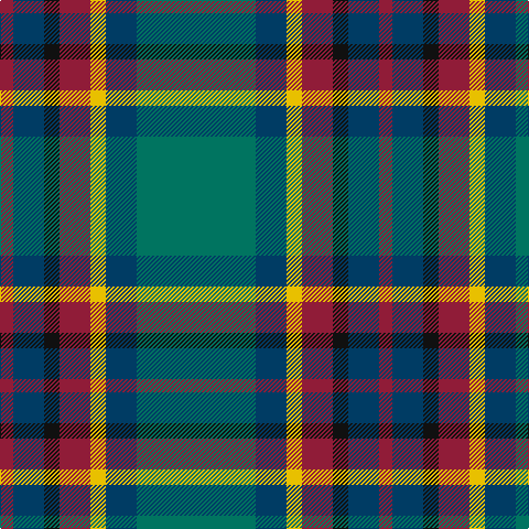 DR/12 DB28 K14 DR28 Y14 DB28 G/108 tartan Tartan detail