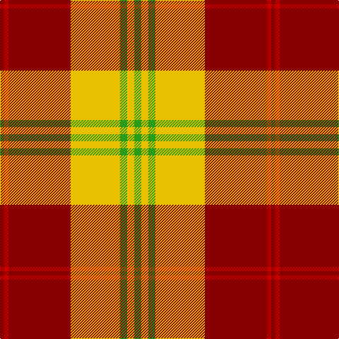 DR/6 R6 DR88 Y70 G10 Y10 G/10 tartan Tartan detail