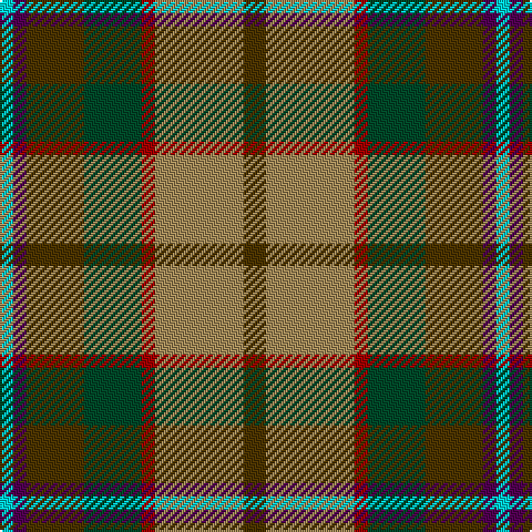 LB/6 DP6 T26 DG26 DR6 LT40 T/10 tartan Tartan detail