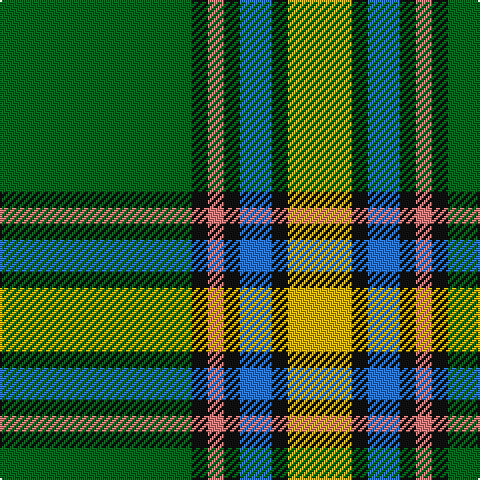 G/96 K8 LR8 K8 B16 K8 Y/32 tartan Tartan detail