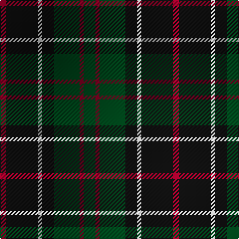 DR/6 K32 LN4 K12 G26 DR4 G/12 tartan Tartan detail