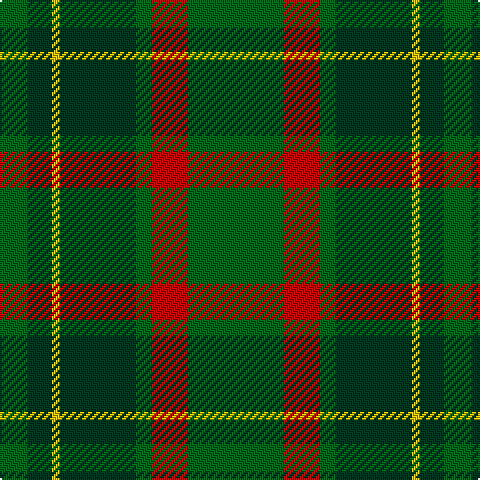 G/14 DG12 Y4 DG38 G8 R18 G/48 tartan Tartan detail