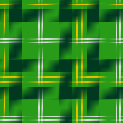 G/14 Y7 G14 DG50 G64 LN6 G/7 tartan Tartan detail