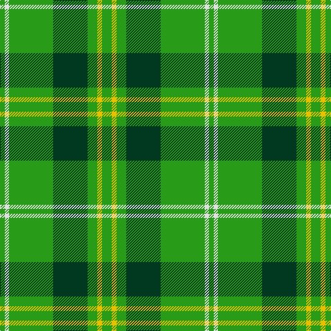 G/7 LN6 G64 DG50 G14 Y7 G/14 tartan Tartan detail
