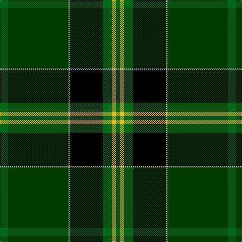 G/16 Ga120 W2 K66 G18 Y8 G/8 tartan Tartan detail