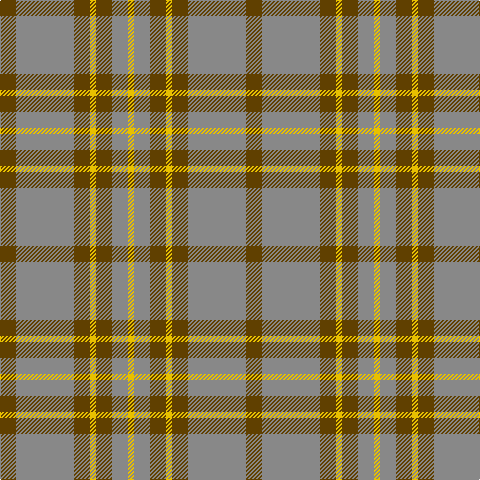 T/16 N58 T16 Y6 T16 N16 Y/6 tartan Tartan detail
