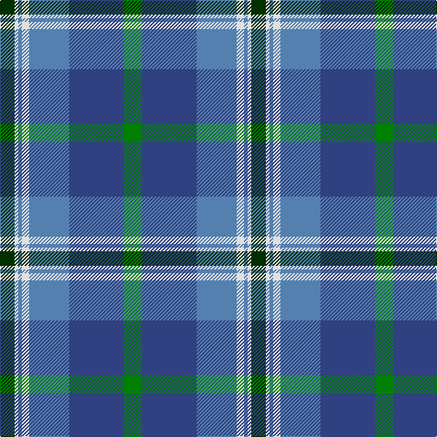 DG/16 LN4 Ba4 LN8 Ba44 B60 G/20 tartan Tartan detail