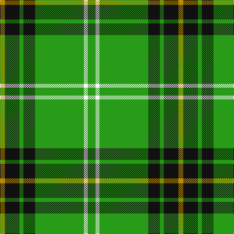 DY/10 K30 G8 K24 G100 W8 G/16 tartan Tartan detail