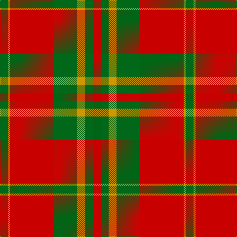 G/16 DY4 R88 G48 DY16 G16 R/16 tartan Tartan detail
