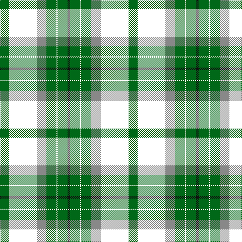 G/18 W55 N19 G20 W2 G20 K/5 tartan Tartan detail