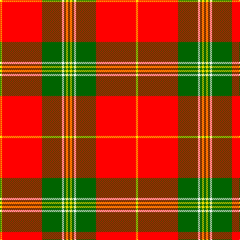 Y/4 R80 G40 W4 G4 Y4 G/4 tartan Tartan detail