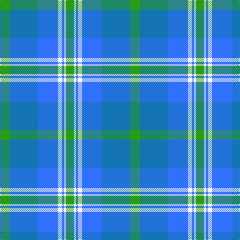 G/20 Ba56 B40 W8 B4 W4 G/16 tartan Tartan detail
