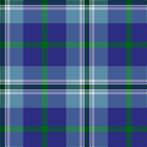 DG/16 LN4 B4 LN8 B44 DB60 G/20 tartan Tartan detail