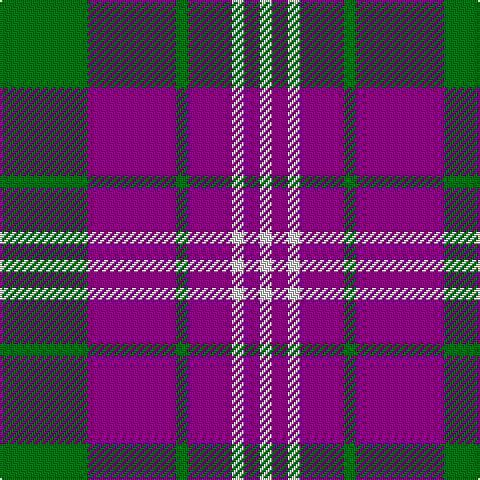 G/44 P44 G6 P22 LN6 P8 LN/6 tartan Tartan detail