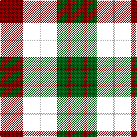 DR/40 NB28 W4 NB28 G18 DR6 G/22 tartan Tartan detail