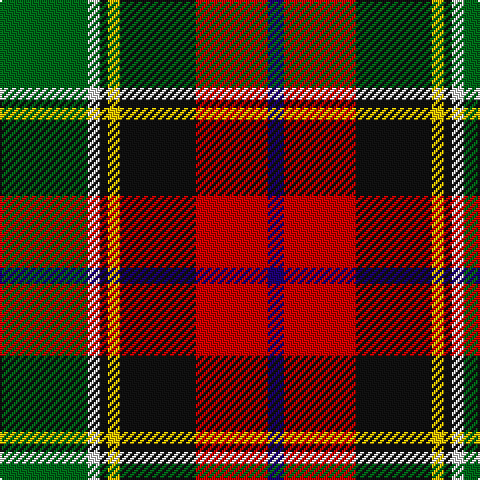 G/44 LN6 K4 Y6 K38 R36 DB/8 tartan Tartan detail