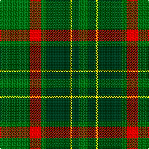 G/48 R18 G8 DG38 Y4 DG12 G/14 tartan Tartan detail
