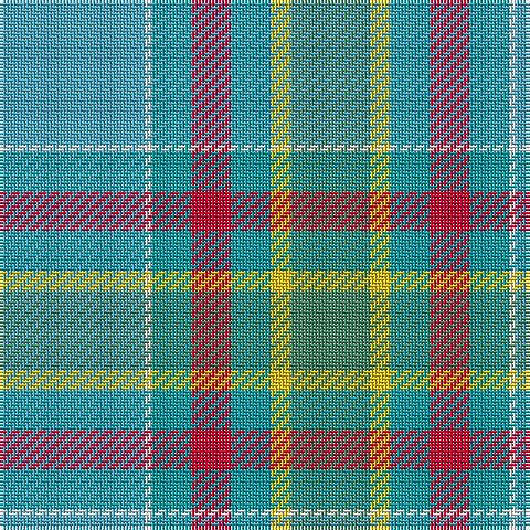 Ba/44 W2 B12 R12 B12 Y6 G/24 tartan Tartan detail