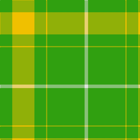 G/2 G40 Y76 G40 Y4 G128 LN/12 tartan Tartan detail