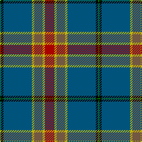 G/2 K4 B48 Y4 LT14 Y4 R/16 tartan Tartan detail