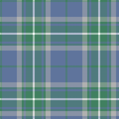 G/8 B60 N20 G8 B8 G28 W/8 tartan Tartan detail