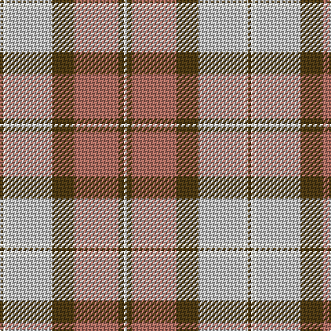 T/2 W4 N32 T16 LT32 T4 W/2 tartan Tartan detail