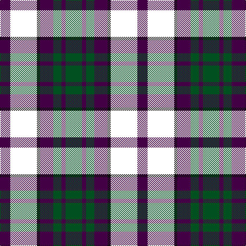 DP/20 W52 K6 DP26 G16 DP8 G/32 tartan Tartan detail