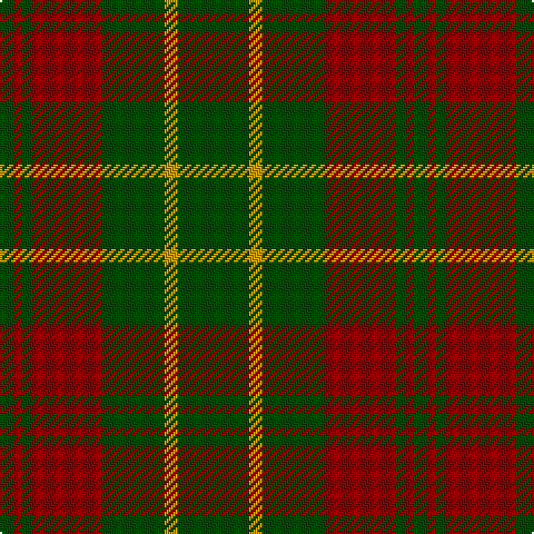 G/6 DR4 G4 DR32 G28 DY6 G/32 tartan Tartan detail