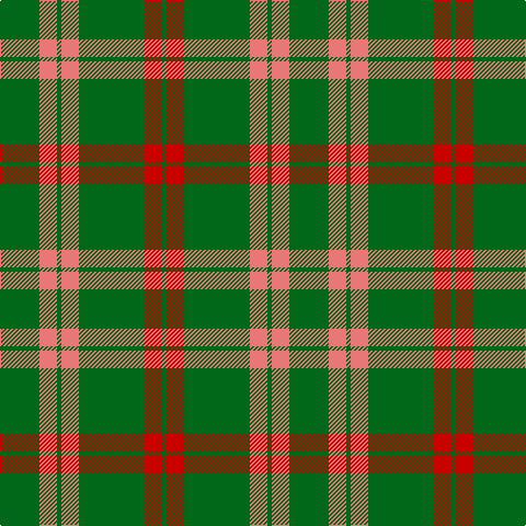 G/36 LR16 G4 LR16 G60 R16 G/4 tartan Tartan detail