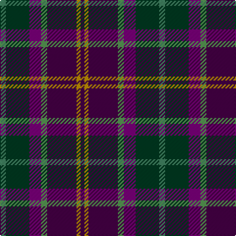 DP/4 DY4 DP30 LG6 P12 DG24 G/6 tartan Tartan detail