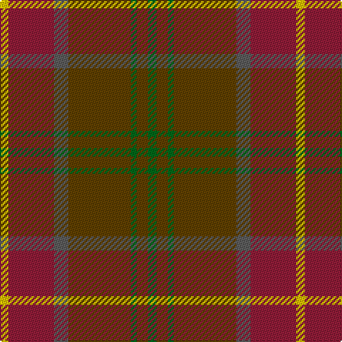 Y/6 DR32 N10 T44 G4 T8 G/6 tartan Tartan detail