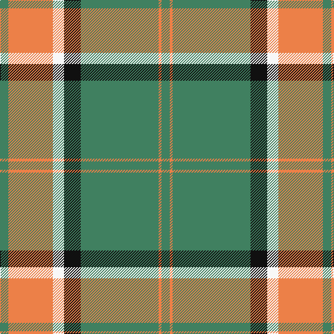 G/12 O64 W16 K24 G112 O4 G/12 tartan Tartan detail