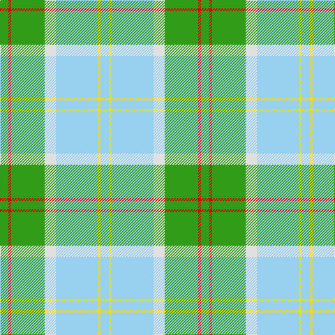 G/12 R4 G48 LN16 LB60 Y4 LB/12 tartan Tartan detail