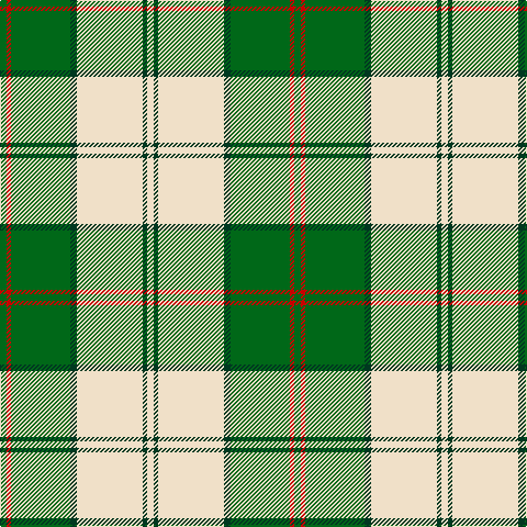 G/6 R4 G54 DG6 W60 DG4 W/6 tartan Tartan detail