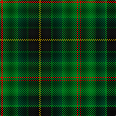 G/3 R3 G31 DG18 G4 K22 Y/3 tartan Tartan detail