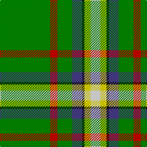 G/82 R12 G24 B16 K4 Y10 W/16 tartan Tartan detail